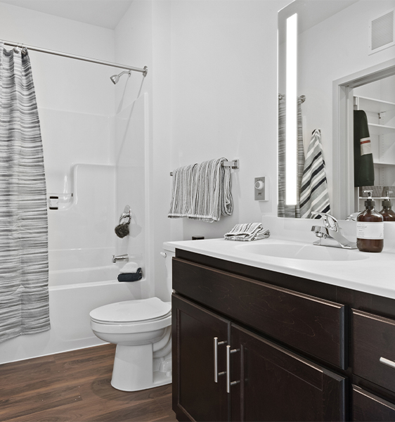 the apartment bathroom